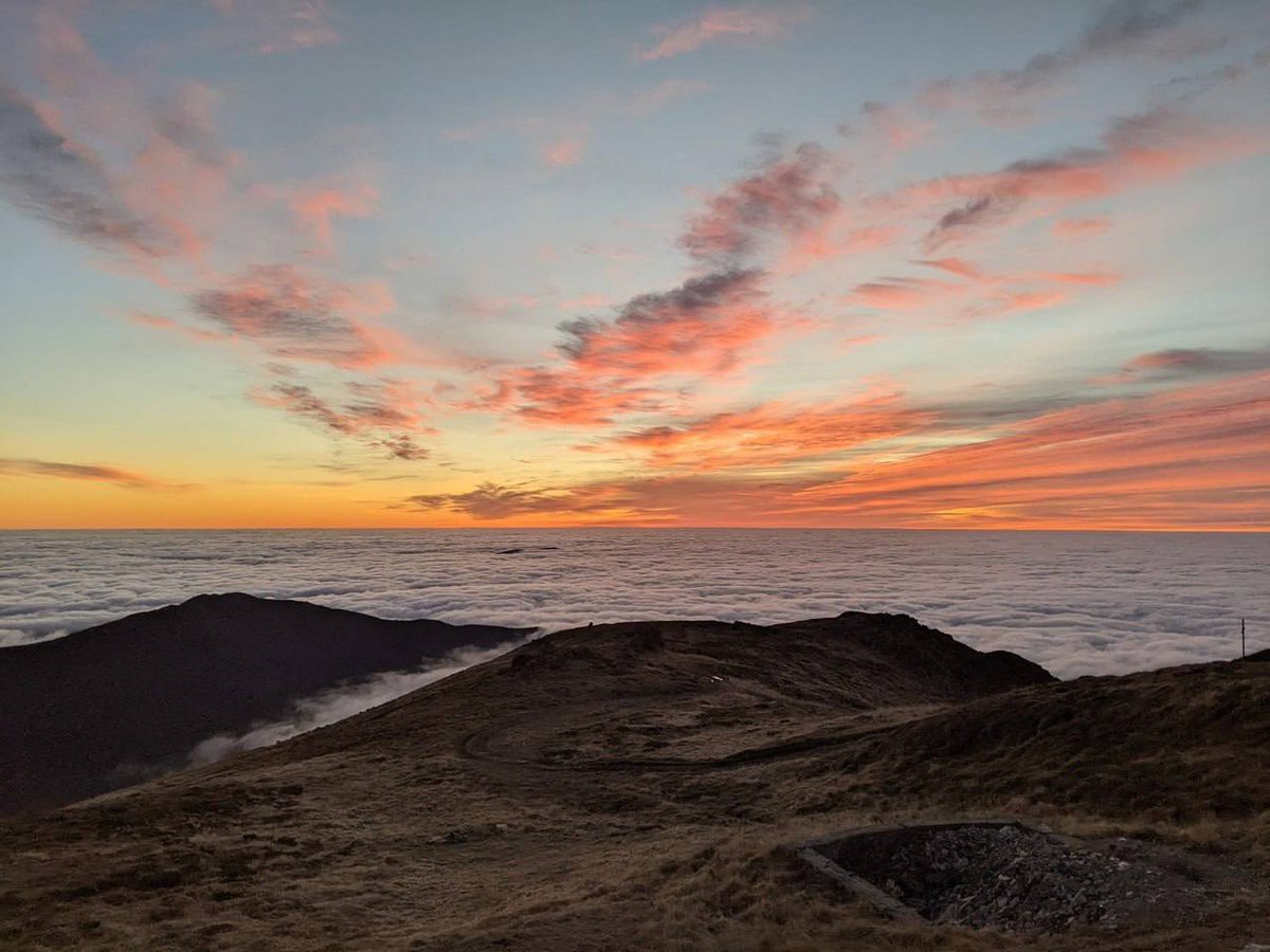 Кішка Шредінгера tweet media