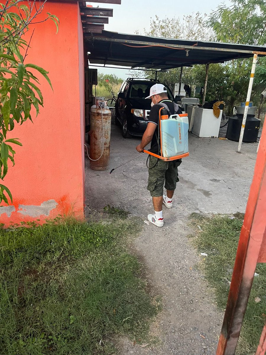 LICO QUINTANILLA tweet media