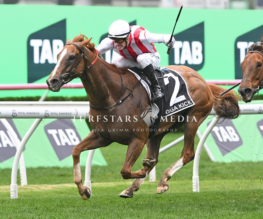 TURFSTARS Media tweet media