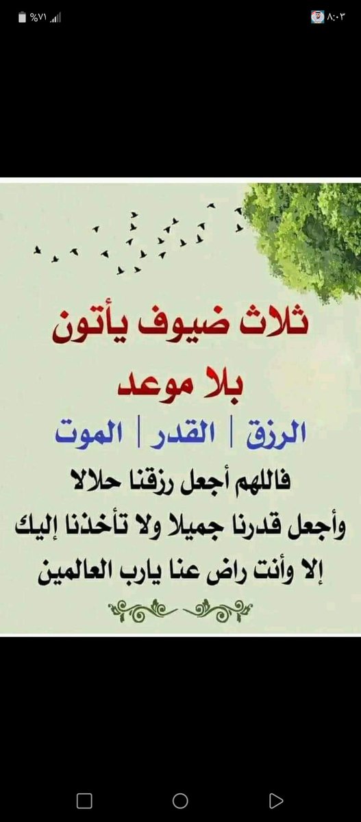 صباح الخير لوجيه الخير💞💕