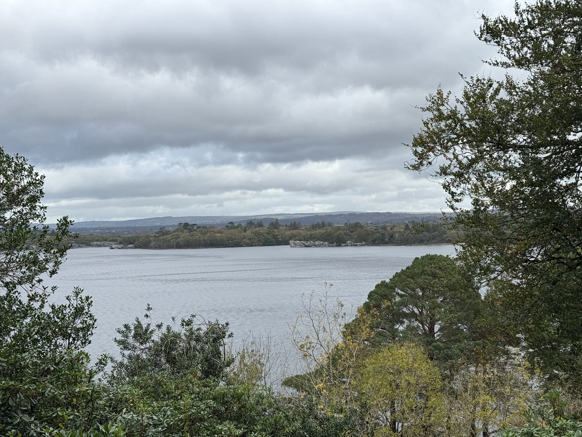 GeroldLab tweet media