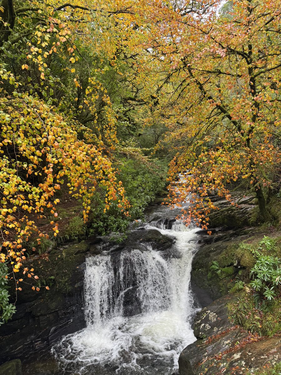 GeroldLab tweet media