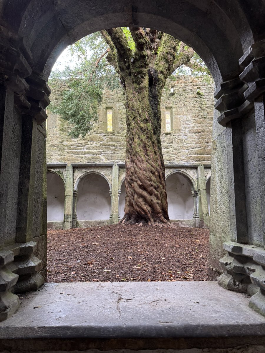 GeroldLab tweet media