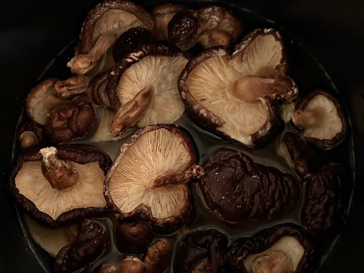 今夜はピェンロー鍋を作るので昼から夜まで椎茸を戻す。時間をかければかけるほどうまい 