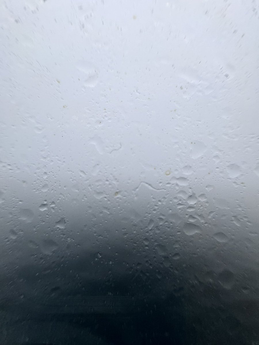 Ryan Ververs-Bijkerk tweet media