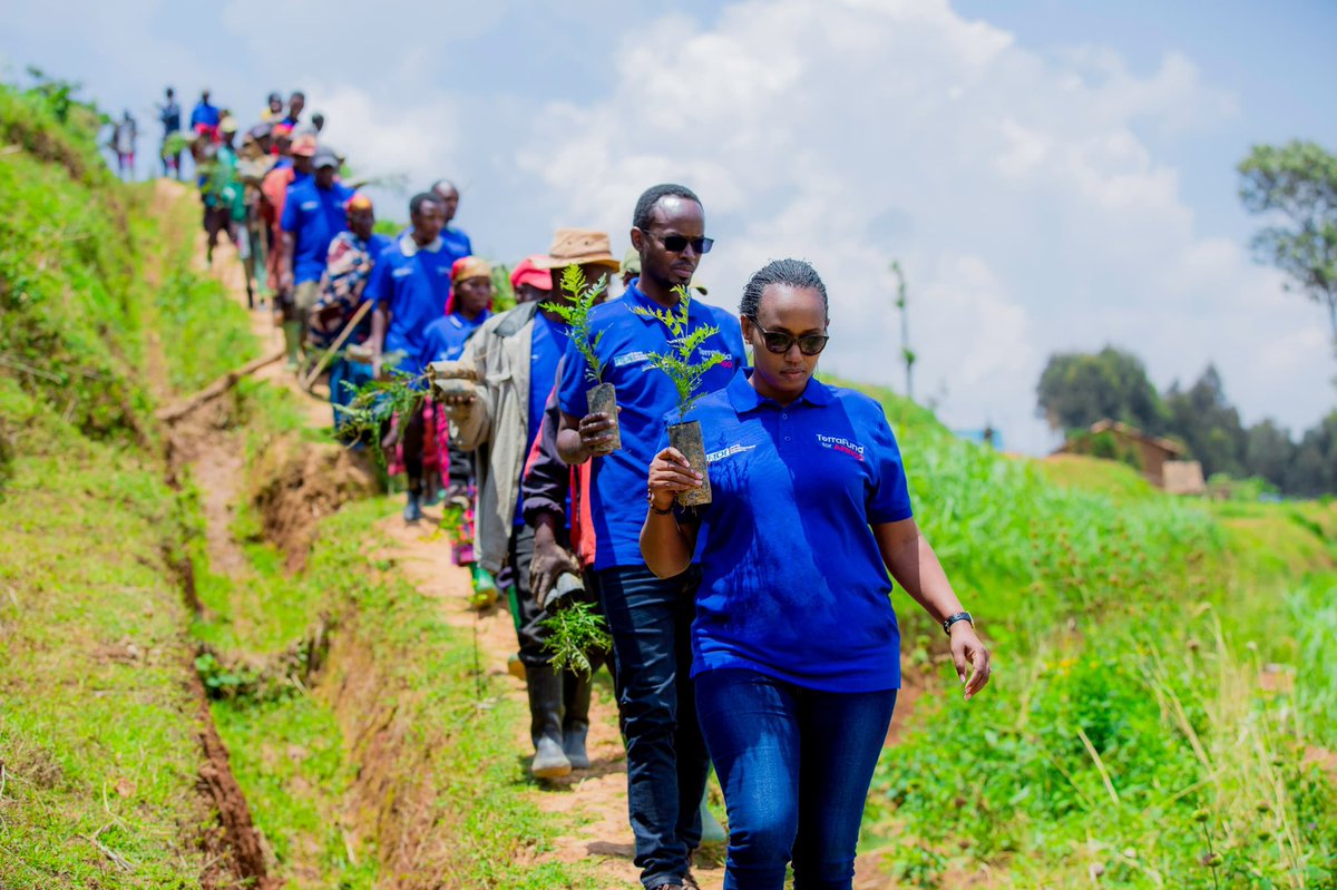 rdi_org's tweet photo. Yesterday, we launched the Tree Planting Period in @RutsiroDistrict . titled "Restoration Project to Strengthen Climate Change Resilience," will involve planting 150,000 trees in Rutsiro and @KarongiDistr . https://t.co/9SYNgLaZwc