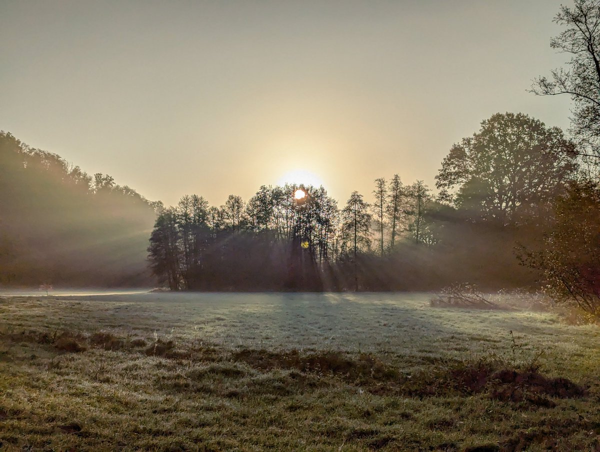 GuMo, du meine Lieblingsjahreszeit #herbst #elfringhauserschweiz #deinnrw