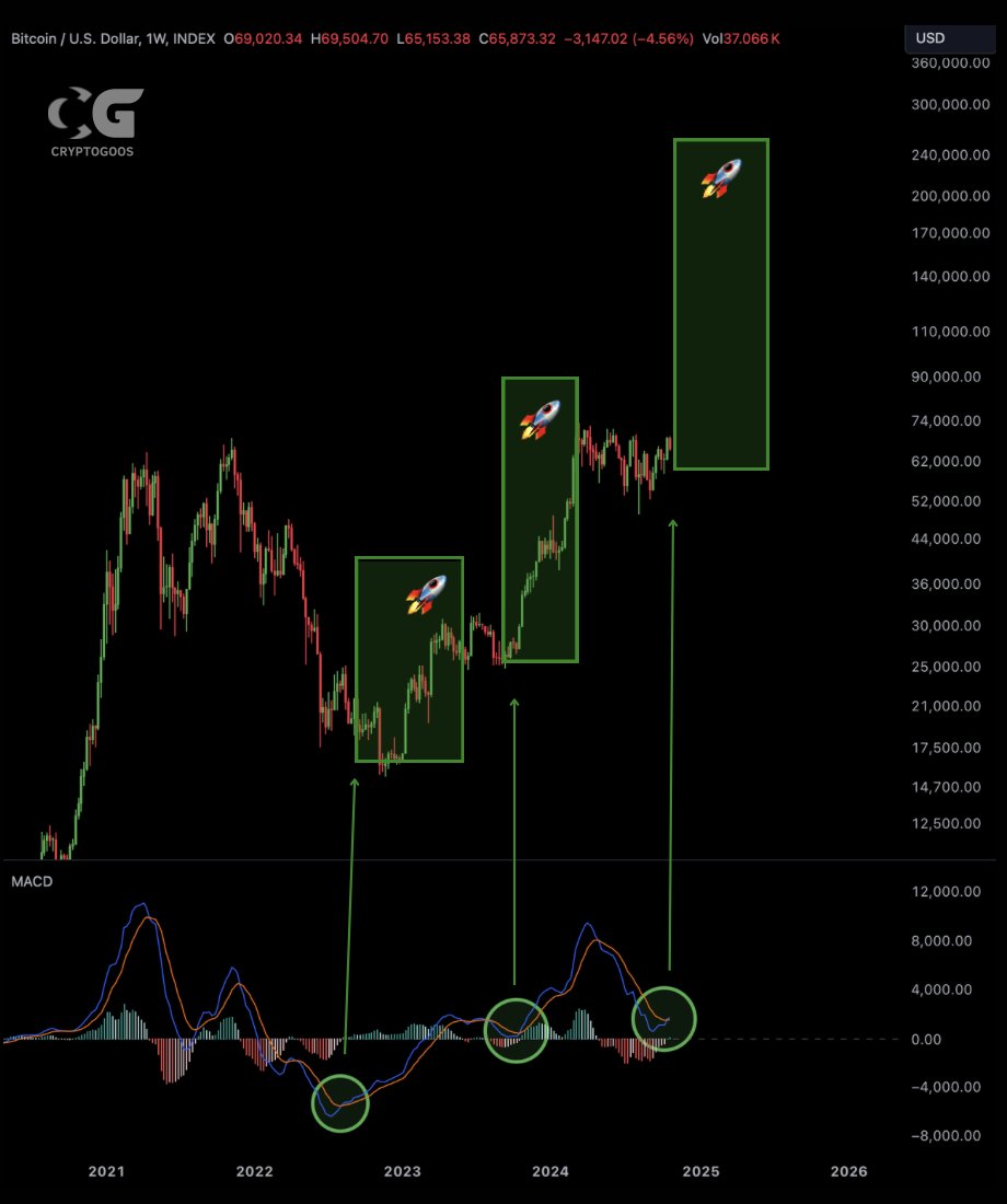cryptogoos's tweet image. #BITCOIN BUY SIGNAL IS FLASHING.🚨
