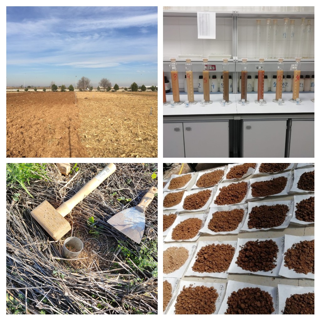 Jose Luis Gabriel tweet media