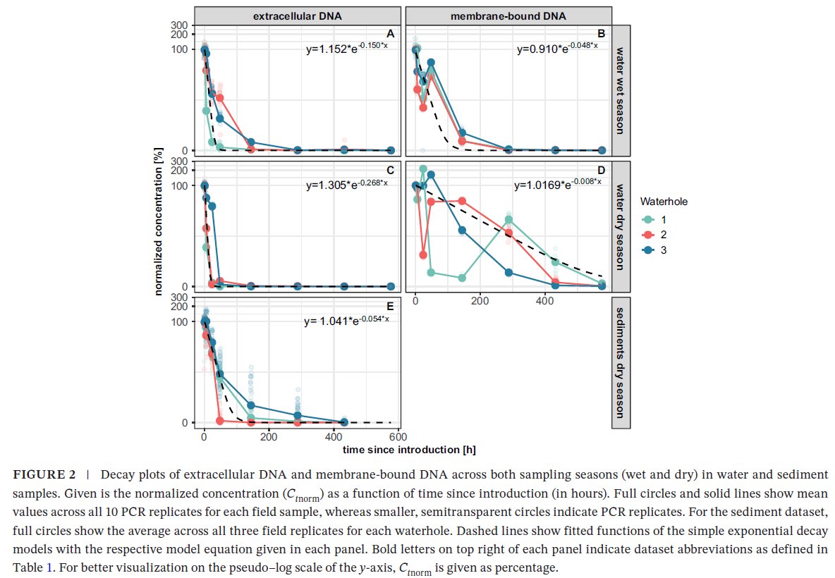How long does your target #eDNA persist in #waterholes in the #savanna? Turns out eDNA #degradation depends on whether you 1.) sample water or sediments 2.) target extracellular or intracellular DNA. Find out more here: doi.org/10.1002/edn3.7…