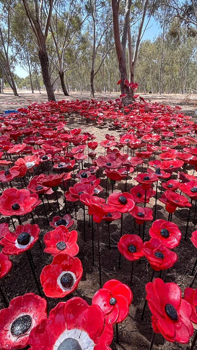 A Chains tweet media