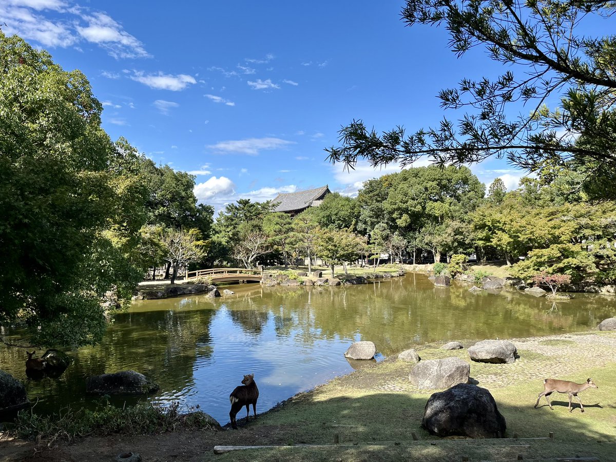 Guillaume Vives (@vivesgui) on Twitter photo Excited to be back in Japan for the PEMM symposium in beautiful Nara! Looking forward to great science, starting with the inspiring opening lecture of <a href="/MassonOhio/">MassonGroupOHIO</a>
Thanks to <a href="/RapenneG/">Gwenael Rapenne</a> & <a href="/KawaiNaist/">KAWAI-NAIST</a> for the invitation! Excited to be back in Japan for the PEMM symposium in beautiful Nara! Looking forward to great science, starting with the inspiring opening lecture of <a href="/MassonOhio/">MassonGroupOHIO</a>
Thanks to <a href="/RapenneG/">Gwenael Rapenne</a> & <a href="/KawaiNaist/">KAWAI-NAIST</a> for the invitation!