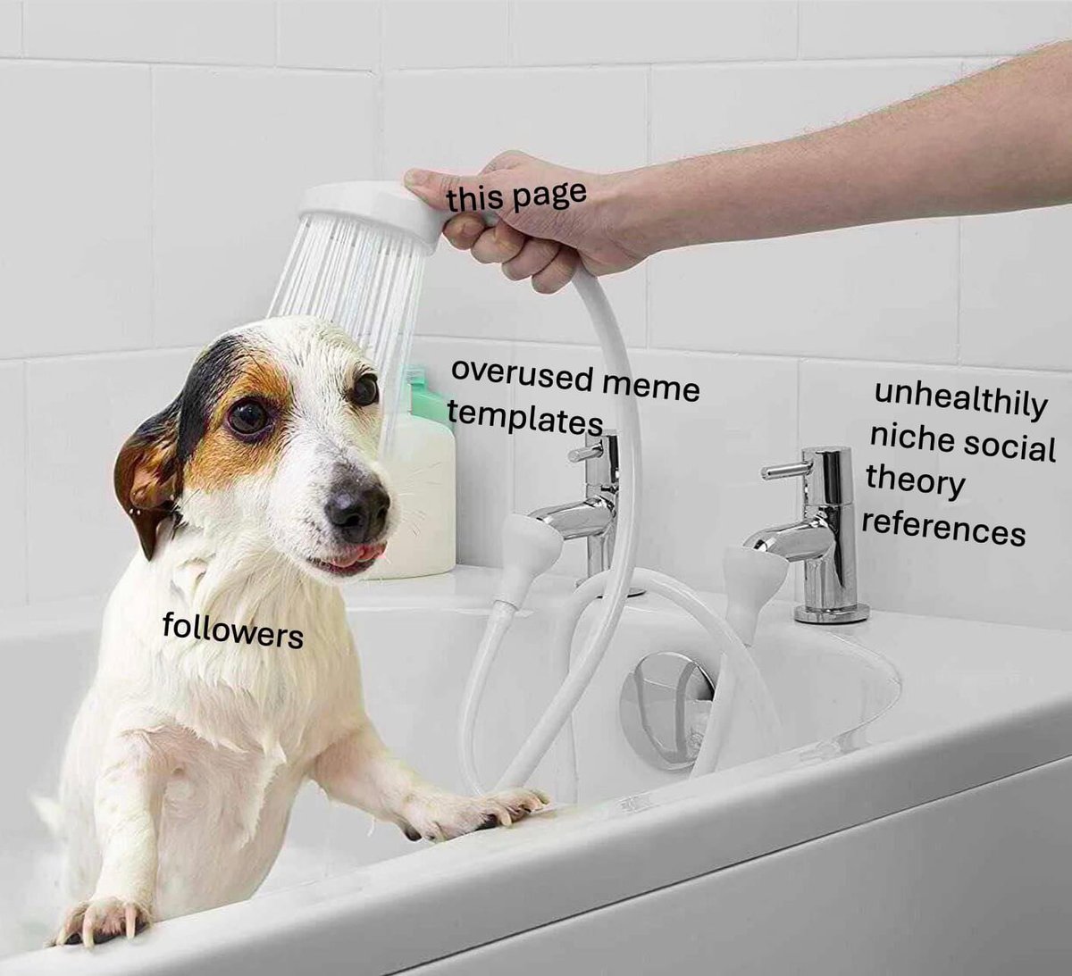 P. Biddy’s Structural-Constructivist Memes (@strucconmemes) on Twitter photo 