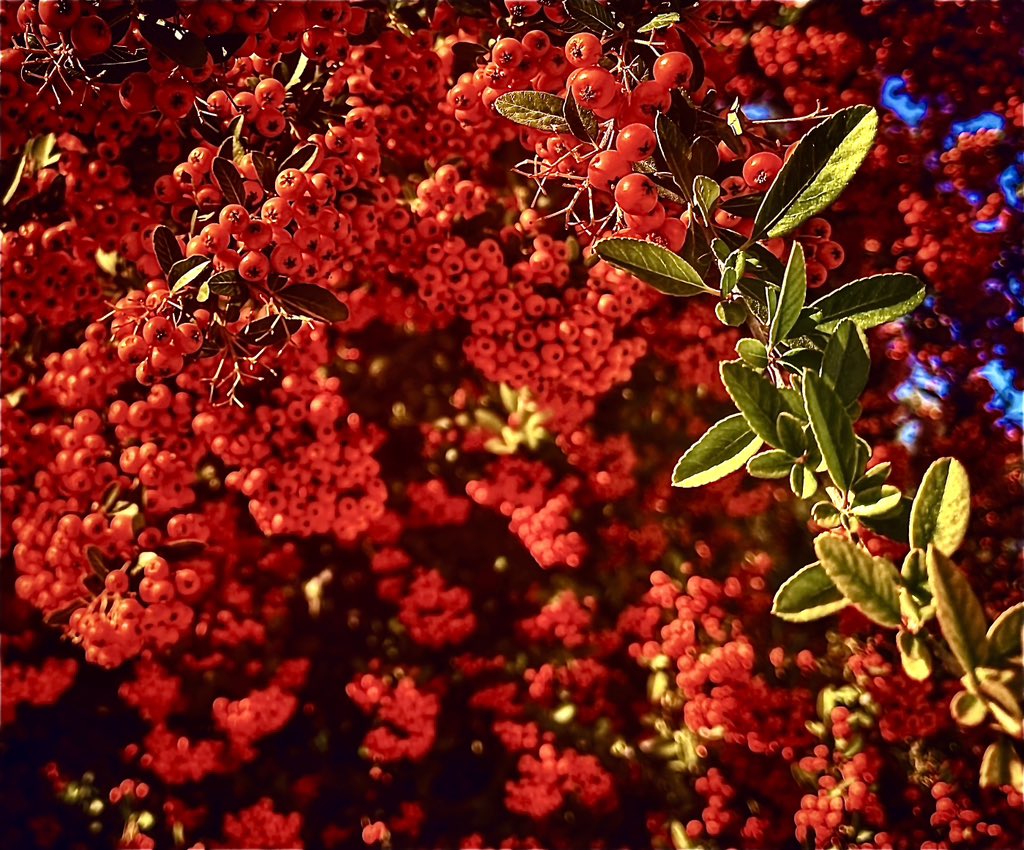 ozgur_1ey's tweet image. #photpgraphy #Fotograf #Günaydın #GoodMorning #GutenMorgen