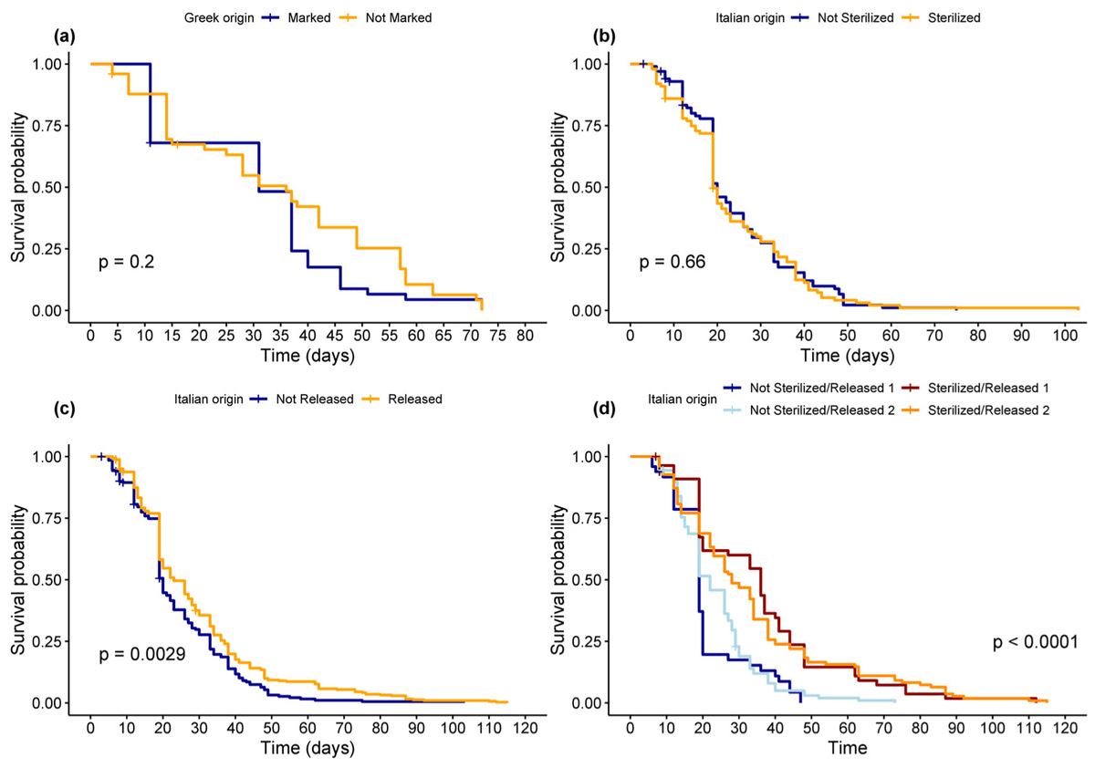 Insects MDPI tweet media