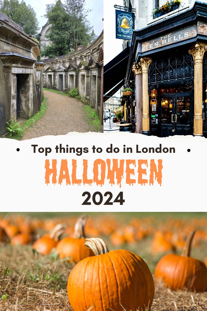 Teamthomastravels (@teamthomastrvls) on Twitter photo New blog! 9 spooktacular things to do in <a href="/visitlondon/">Visit London</a> this Halloween 🎃 👻 🦇 From ghost walks to haunted pubs, sweet treats to spooky screenings and a haunted palace!
teamthomastravels.com/post/post-thin…
#london #Halloween
#halloween2024 New blog! 9 spooktacular things to do in <a href="/visitlondon/">Visit London</a> this Halloween 🎃 👻 🦇 From ghost walks to haunted pubs, sweet treats to spooky screenings and a haunted palace!
teamthomastravels.com/post/post-thin…
#london #Halloween
#halloween2024