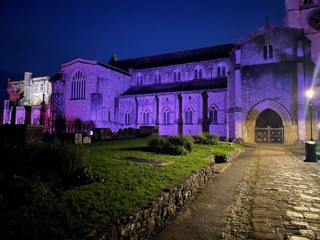 TheDLDMouse's tweet image. Some pictures of Christchurch priory that I've been sent. It was lit up on #dldday to help raise awareness of Developmental Language Disorder. Doesn't it look amazing 💜💛