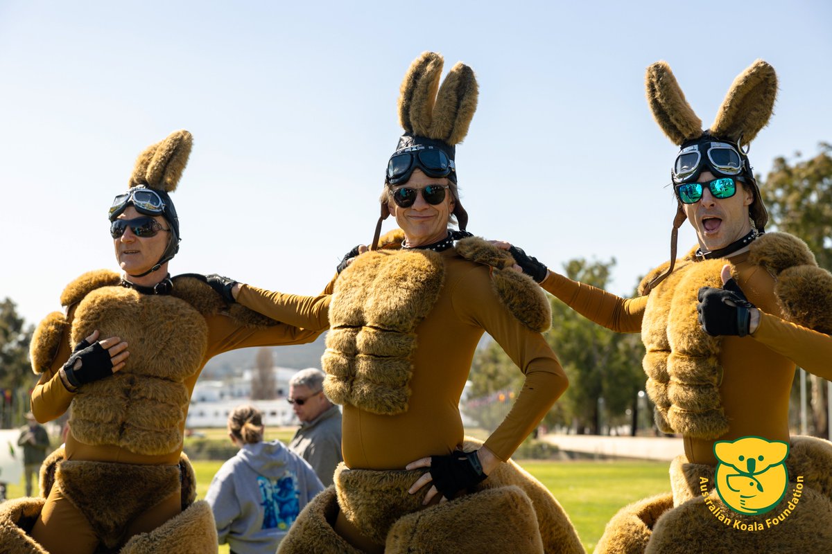 savethekoala's tweet photo. Happy World Kangaroo Day! ๐ฆ
Catch us reminiscing about these three cheeky larrikins from The Koala Army's March for Creatures Great and Small...
#notreenome #creaturesgreatandsmall https://t.co/ipNRd96Szw