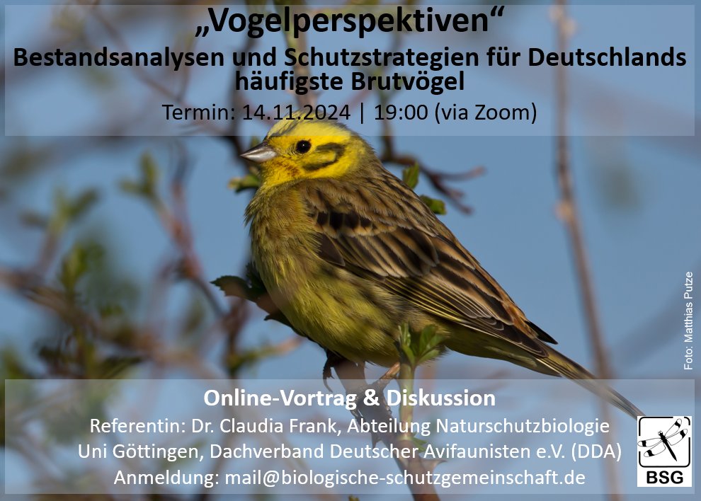 Biologische Schutzgemeinschaft (@bsggoettingen) on Twitter photo +++ Vogelperspektiven: Bestandsanalysen und Schutzstrategien für Deutschlands häufigste Brutvögel +++
Online-Vortrag & Diskussion mit Dr. Claudia Frank, @ConsBio_Goe <a href="/uniGoettingen/">Uni Göttingen</a> & @tw_dda.
Termin: 14.11. | 19:00 | via Zoom
Anmeldung: mail@biologische-schutzgemeinschaft.de +++ Vogelperspektiven: Bestandsanalysen und Schutzstrategien für Deutschlands häufigste Brutvögel +++
Online-Vortrag & Diskussion mit Dr. Claudia Frank, @ConsBio_Goe <a href="/uniGoettingen/">Uni Göttingen</a> & @tw_dda.
Termin: 14.11. | 19:00 | via Zoom
Anmeldung: mail@biologische-schutzgemeinschaft.de