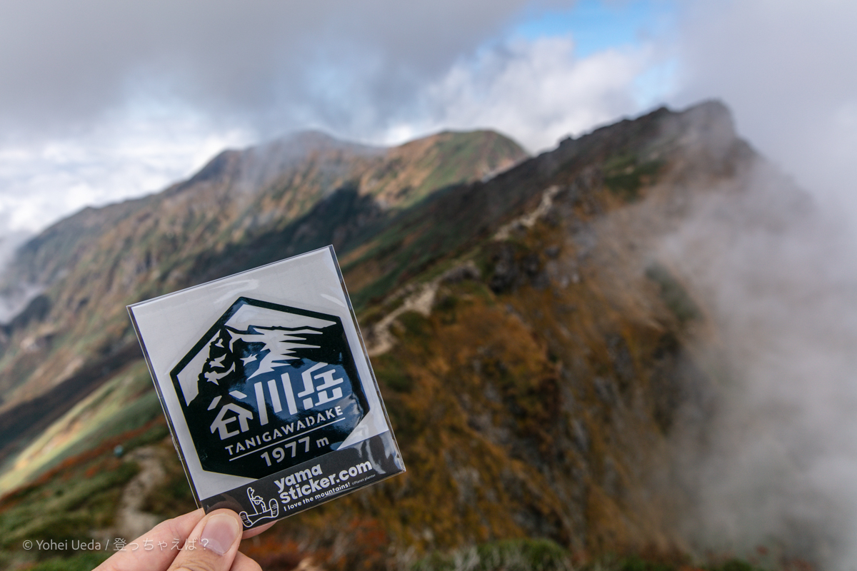 yhey0210 tweet picture