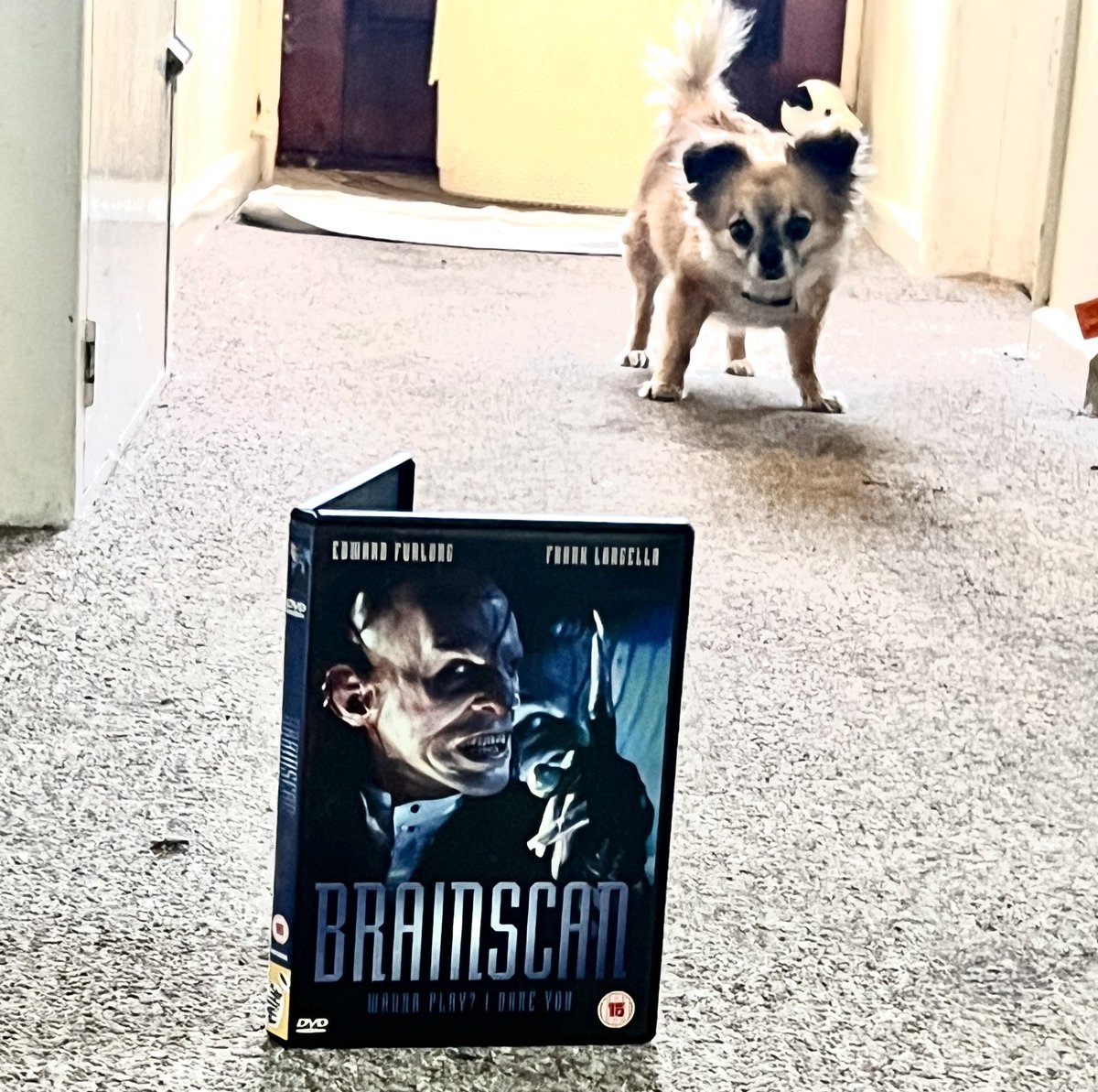 Bill626's tweet image. Today’s #31DaysOfHorror watch was #Brainscan starring #EdwardFurlong &amp;amp; #FrankLangella