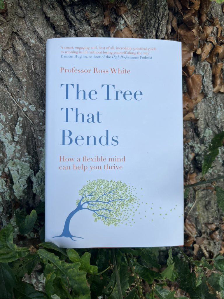RossGWhite's tweet photo. It’s #IrishBookWeek &amp; I’m delighted that #TheTreeThatBends features in an @amhNI blog to mark the occasion. Thanks to @ClaireLSavage for taking the time to meet with me to discuss the book. 

https://t.co/Tlta8nJdEY 

Please take some time to check out their #IAmSomeone campaign. https://t.co/QrPX0C3x9l
