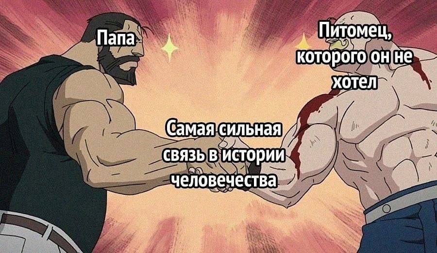 DantesDmitriy's tweet photo. https://t.co/qlM9ZBwxih