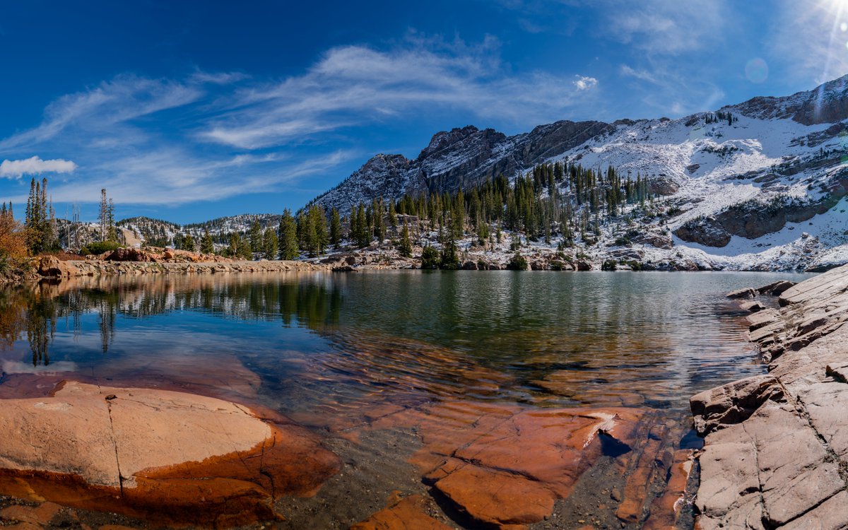 ThisisntSorru's tweet image. I touched grass