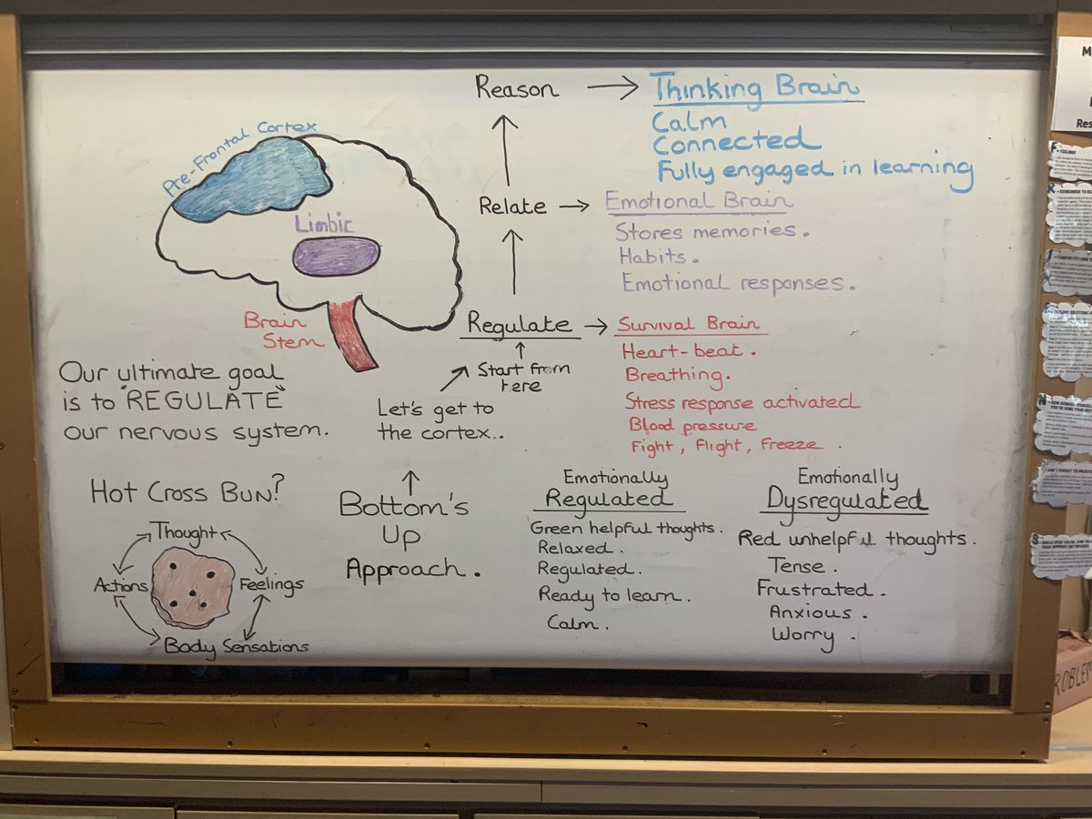 The adolescent brain is known for being deliberately impulsive.The pre frontal cortex top part for self-control,problem solving isn't fully developed until about 25. It feels before it thinks&amp;relies on the amygdala for decision making where impulses &amp; emotions are processed
🧠🌱