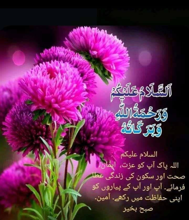 Naveed818181's tweet photo. https://t.co/AvBCHBhnHB
