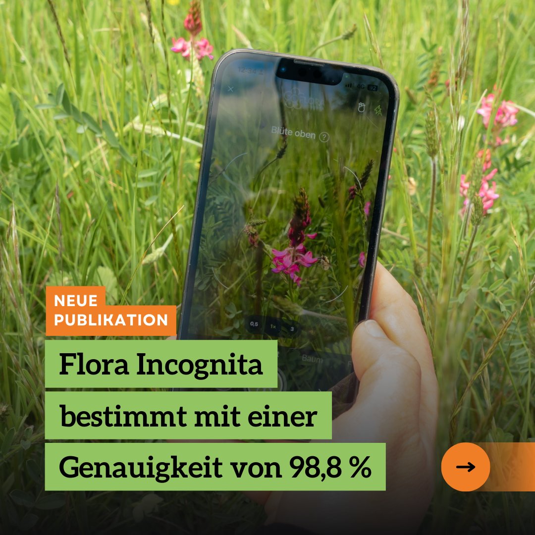 Neue Publikation! 

Letztes Jahr testeten Wissenschaftler:innen in Großbritannien Pflanzenbestimmungs-Apps. Die Ergebnisse verwunderten uns, weil die Apps schlechter abschnitten als erwartet. (1/2 🧵)