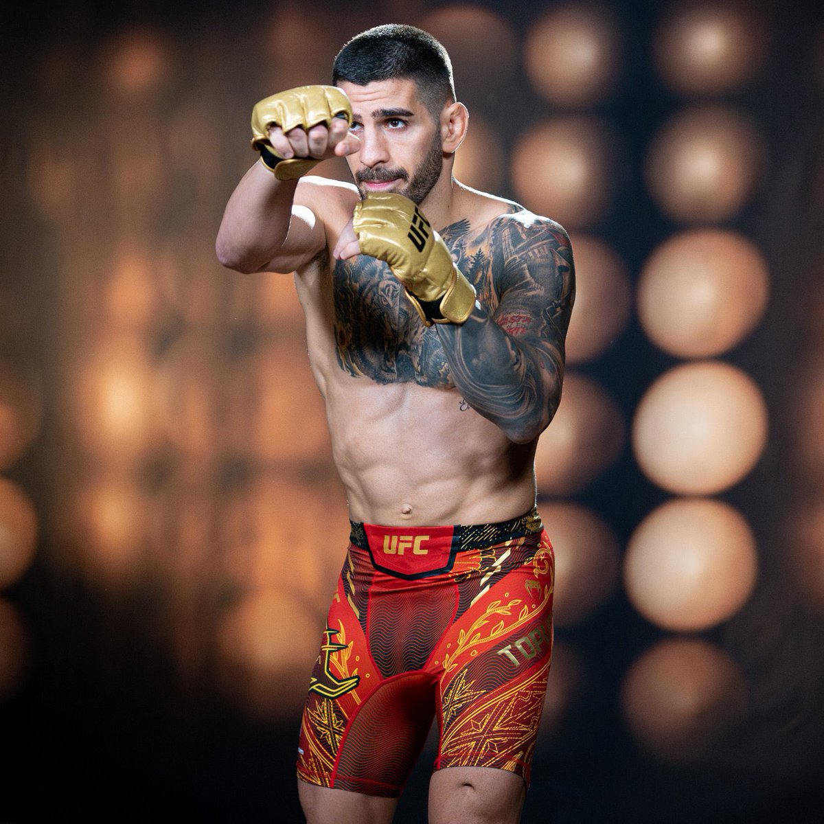 DovySimuMMA's tweet image. What is that?