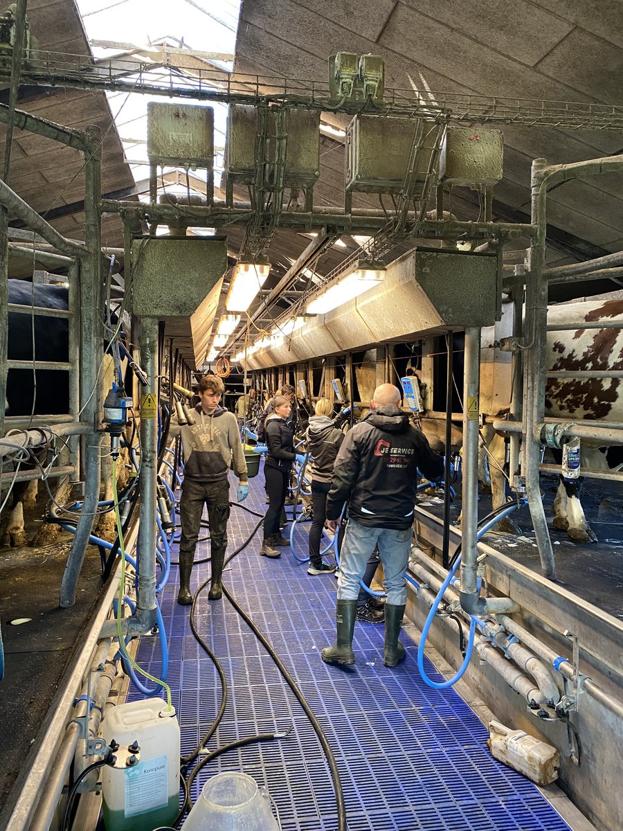 ProjectsBCNaklo's tweet image. 🛬Dijaki in učitelji BC Naklo so uspešno zaključili izmenjavo na Landbrugsskolen Sjælland na Danskem. Navdušeni so bili nad praktičnim znanjem iz živinoreje, agronomije in spoznavanjem danske kulture.🐄
Preberite si: bc-naklo.si/akreditacija-v…
#AkreditacijaVET2024 #erasmus #CMEPIUS