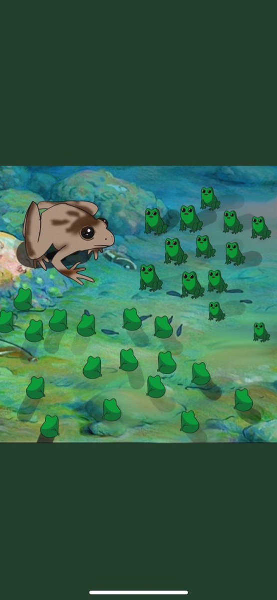 <a href="/JakeGagain/">JAKE</a> <a href="/NeiroOnEthereum/">Neiro On Ethereum</a> $Omochi will be the top frog！
Hi, do you know Omochi, which is the hottest on TikTok? It has the same Web2 traffic as a MOO DENG. Now its market value is less than 1 million dollars and it has been at the bottom for many days. Welcome to join us!

@omochi_cto

Telegram: