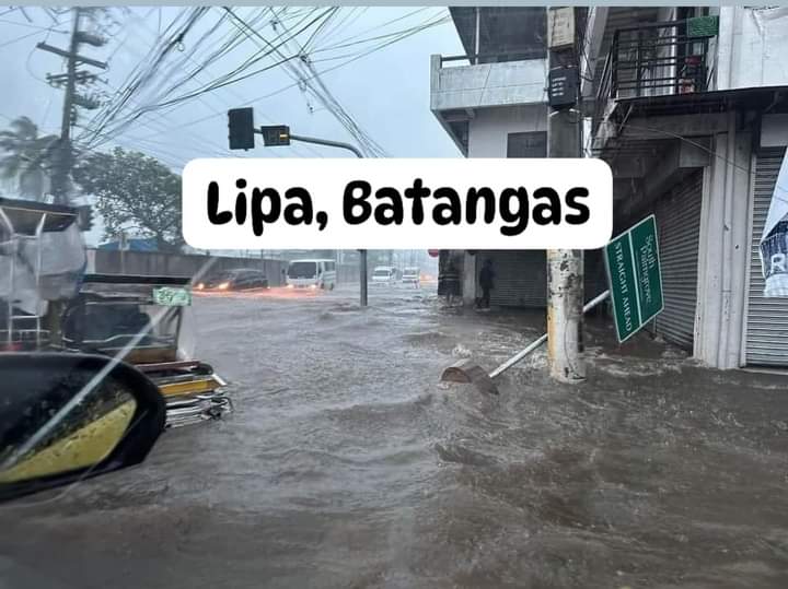 Percival tweet media