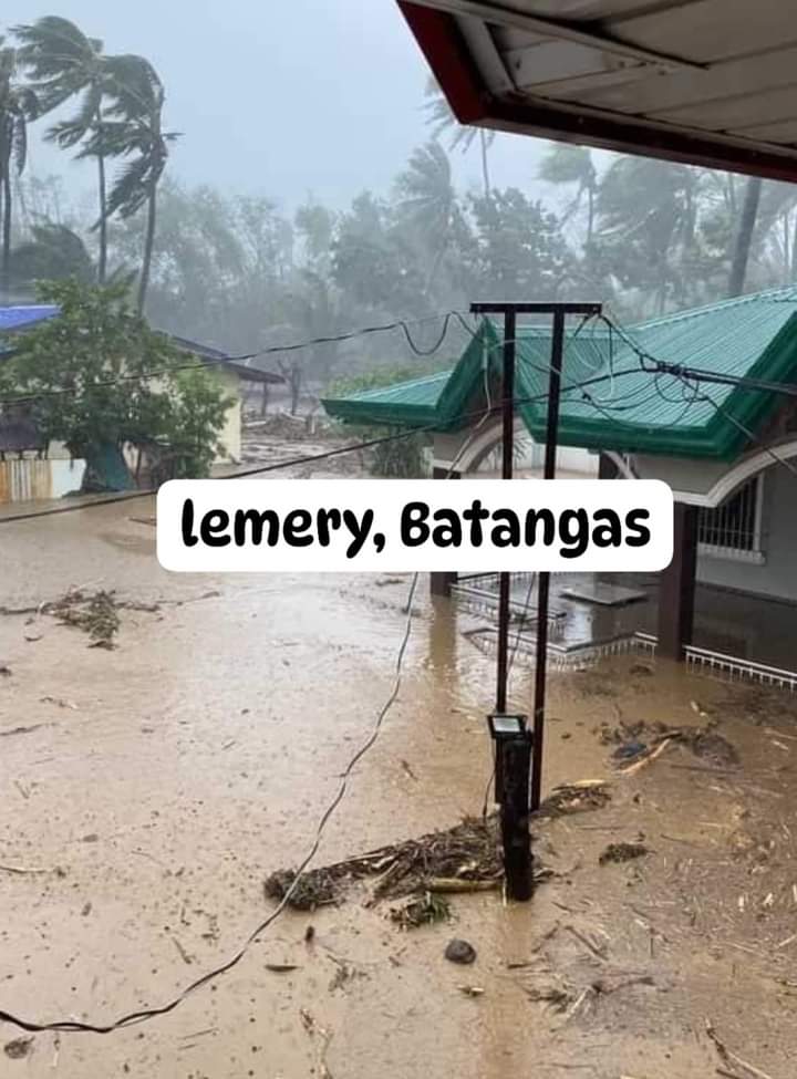 Percival tweet media