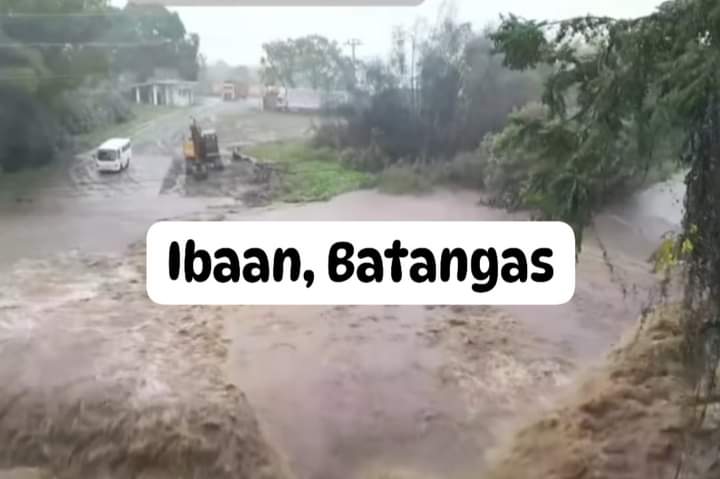 Percival tweet media