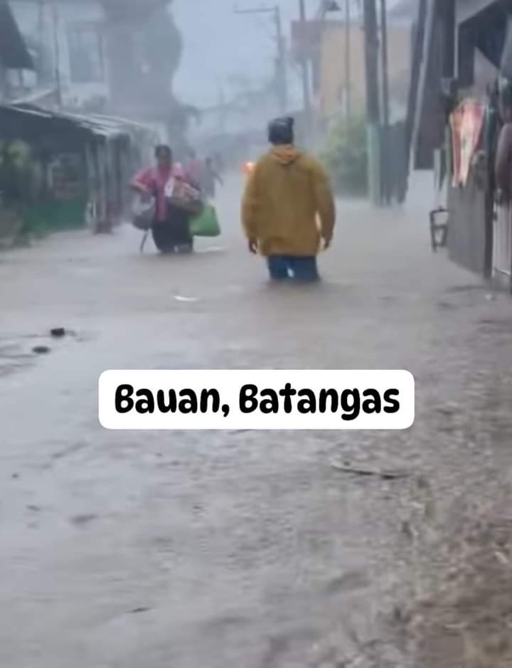 Percival tweet media