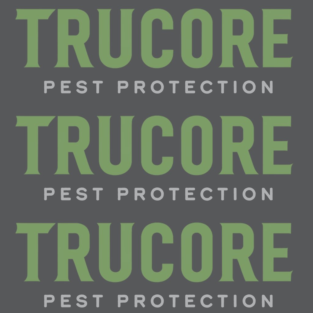 TruCorepest1's tweet image. 𝗦𝗮𝗳𝗲 𝗥𝗲𝗺𝗼𝘃𝗮𝗹 𝗼𝗳 𝗛𝗼𝗿𝗻𝗲𝘁 𝗡𝗲𝘀𝘁𝘀
If you spot a hornet nest around your home, let the professionals handle it. TruCore can safely remove it.
📞 Call TruCore Pest Protection at 904-204-2212 for hornet nest removal.
#HornetControl #SafePestControl #Jacksonville