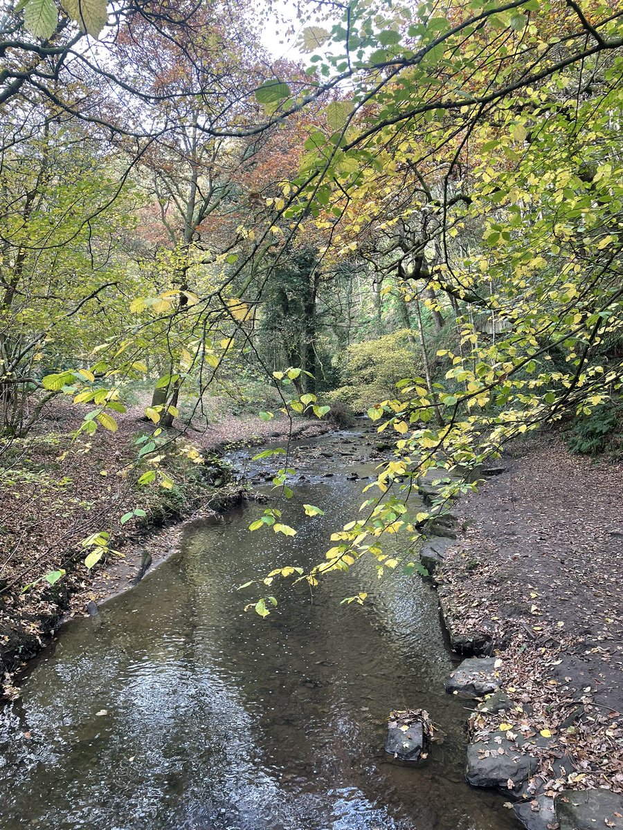 suemoon99's tweet photo. What a beautiful walk we had at East Tanfield station 🥰 https://t.co/f4O0OECK53