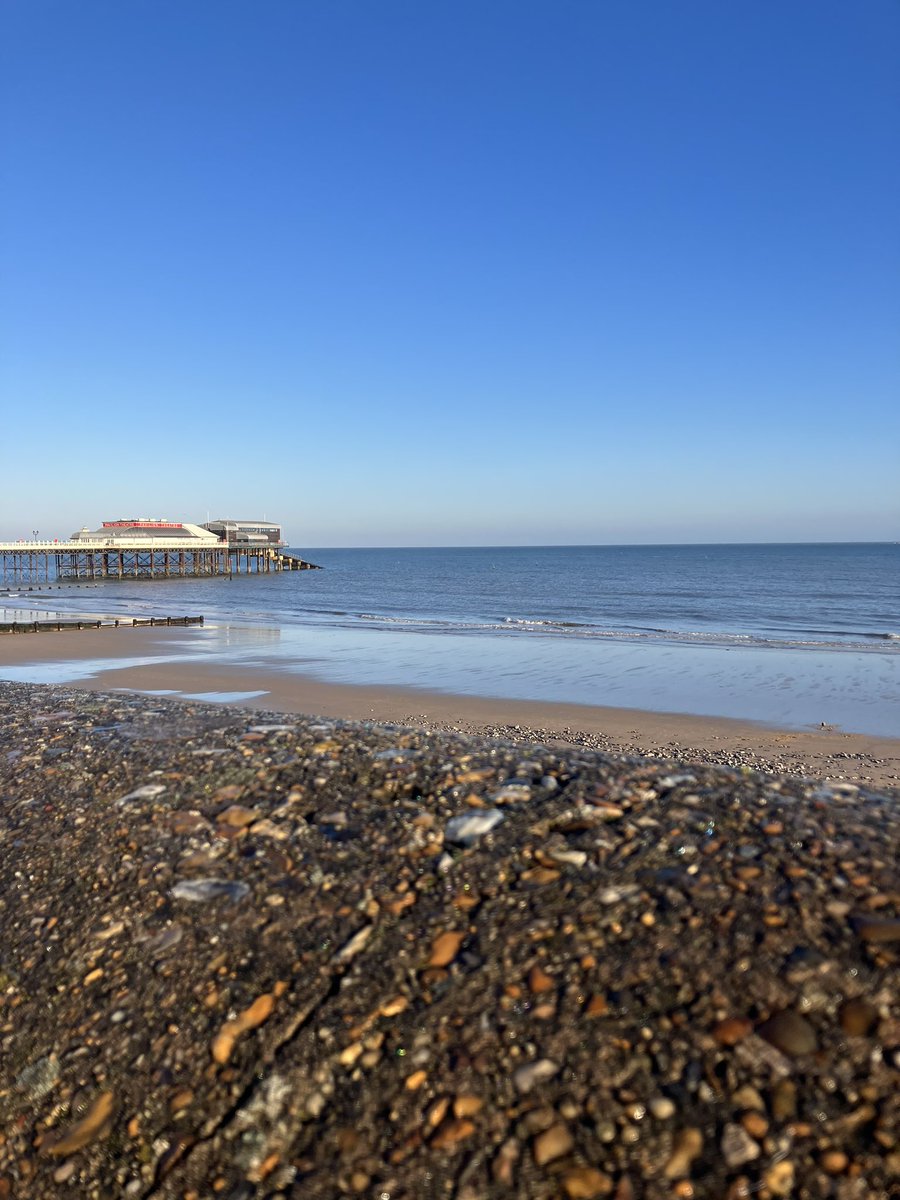 Cromer to Overstrand this morning with <a href="/daniehadley/">Danie Hadley</a> Notable increase in Song Thrush, Goldcrest and Robin, SEO west along the cliff top and a couple of Brambling amongst a steady movement of Chaffinch east.