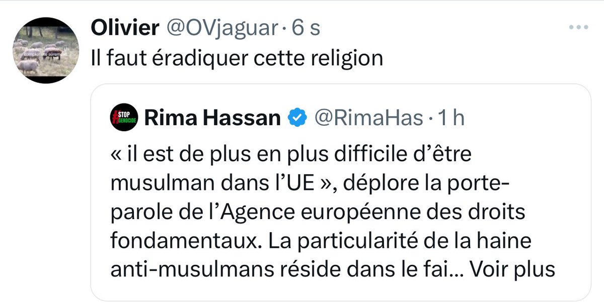 Rima Hassan tweet media
