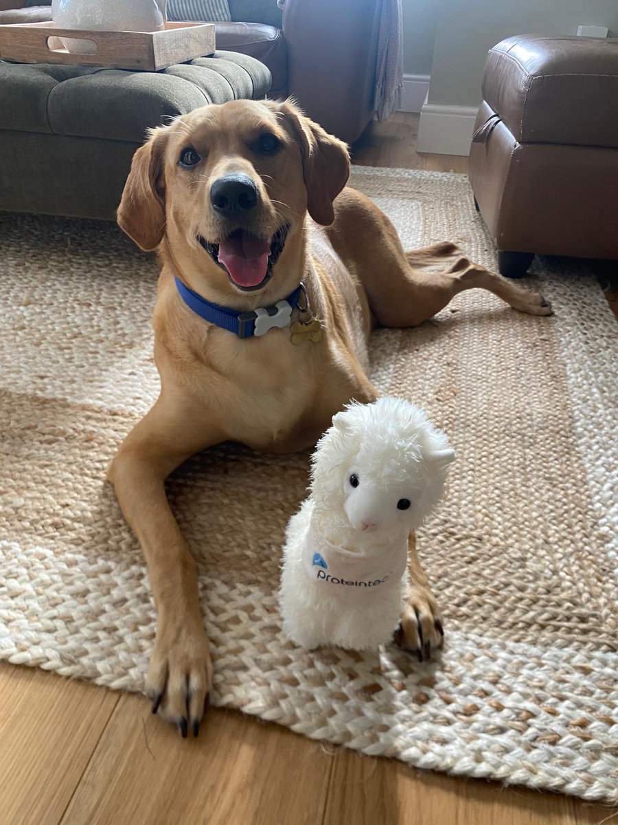 KincaidIngram's tweet photo. @Proteintech’s latest happy customer! 

📷: my sister https://t.co/rml02767Ps