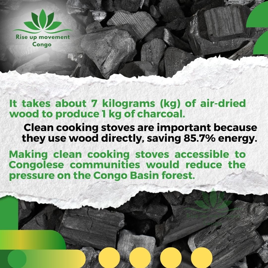 Rise Up movt Congo🇨🇩 tweet media