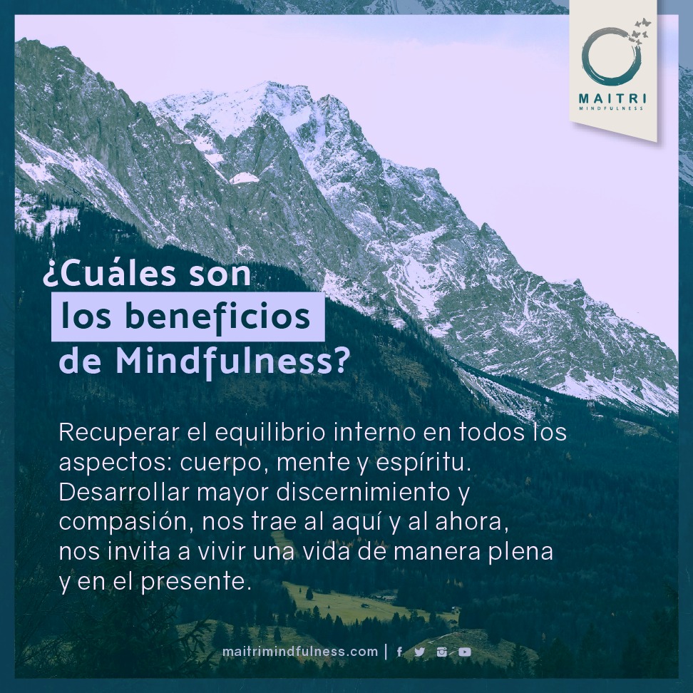MaitriMx's tweet photo. “La práctica de #Mindfulness es útil para mejorar la #saludmental en general, reducir el #estrés, la #ansiedad y la #depresión”: Dr. Manuel Jáuregui

#Maitri
Cursos y Talleres basados en #mindfulness
Más información: despertares.mx@gmail.com https://t.co/zQaKcIg106