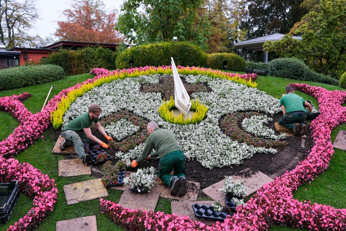 CagiGeneva's tweet image. 🌼 The #flowerclock is decorated in the colours of the @icrc for the 34th International Conference 
Photo ©: @VilledeGeneve / Lionel Devaux
#InternationalGeneva