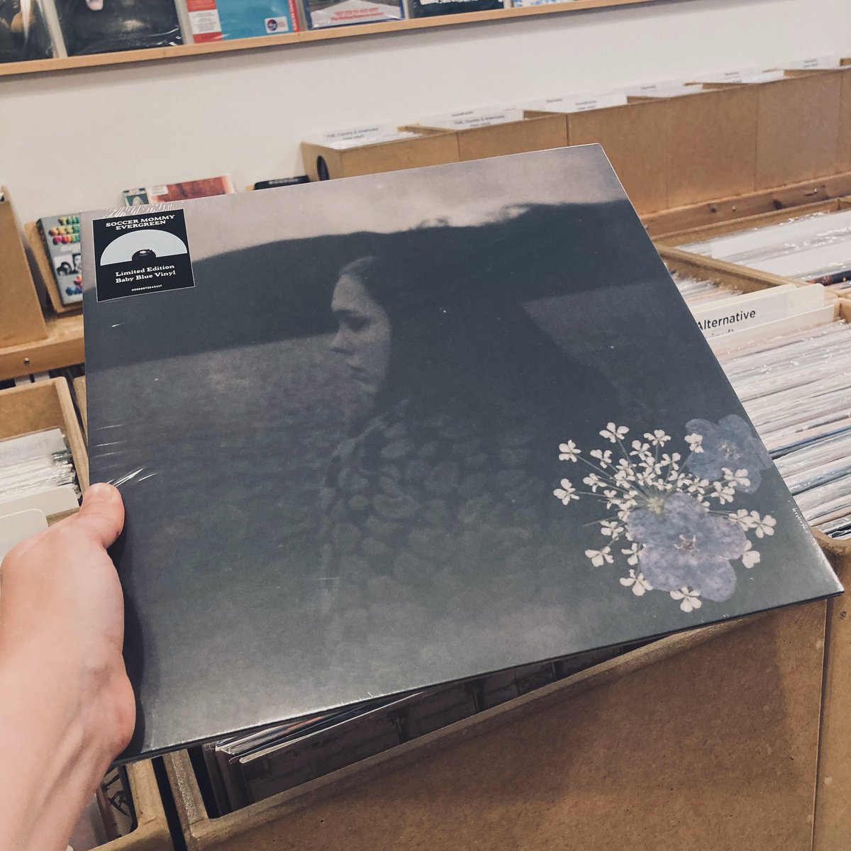 #NewMusic from Soccer Mommy arriving tomorrow! We predict entry into several Best Of 2024 lists for Evergreen. Stunning #vinyl