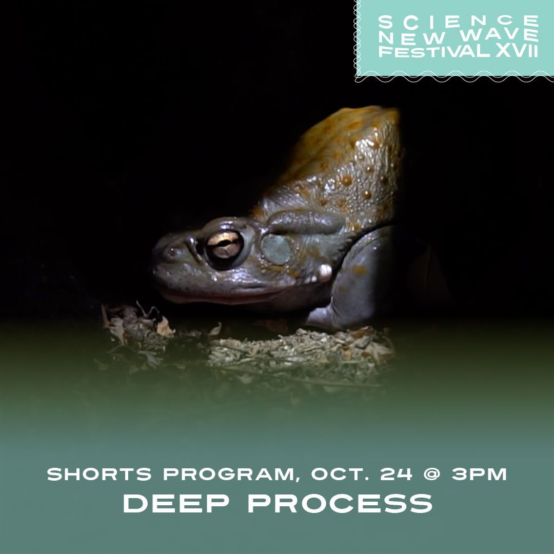 Science New Wave tweet media