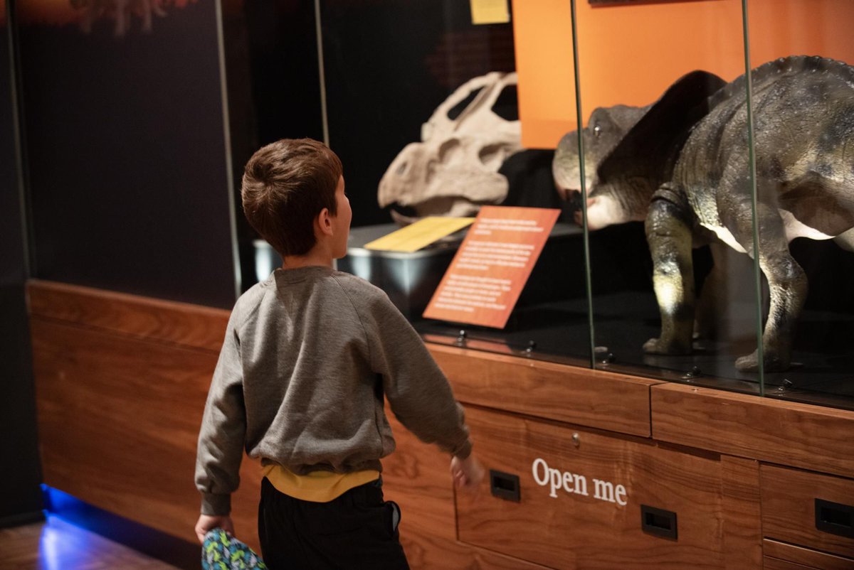 🌟 Quiet Sessions 🌟

Looking for a calmer way to explore our Dinosaurs: Hungry Hatchlings exhibition? Join us on 26 &amp; 31 Oct at 9:30am for a relaxed, sensory-friendly experience. Perfect for those with autism, sensory sensitivities, or dementia.

Book: buff.ly/3UmrzFF