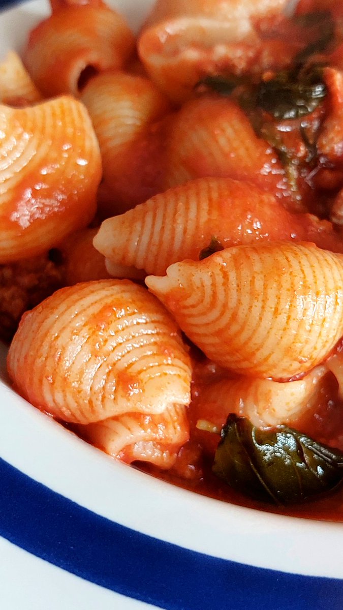 TopAliment's tweet photo. Conchiglie rigate con ragù e basilico https://t.co/sEbG6l1SGl